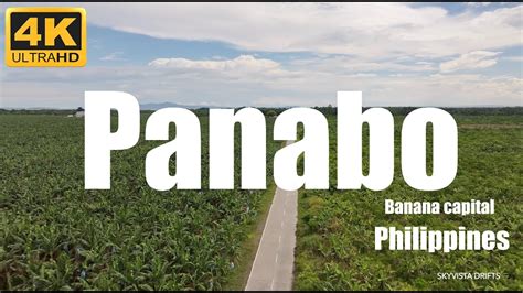 what region is panabo city|Panabo – Banana Capital of the Philippines .